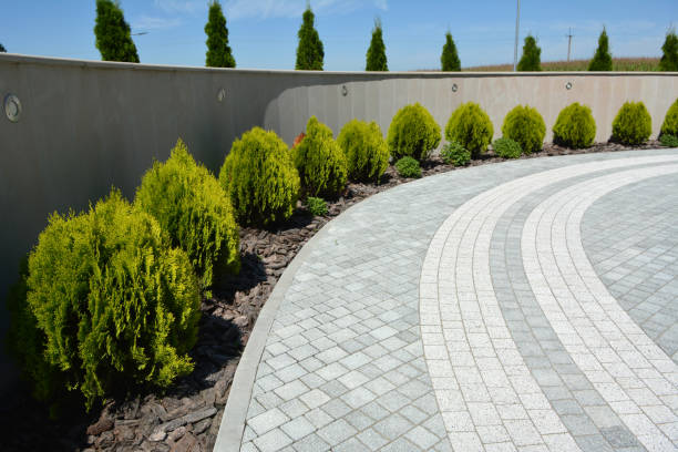 Best Driveway Pavers Near Me  in Chebanse, IL